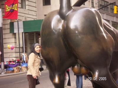 butt and bull